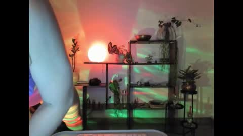 Hot Pictorica online show from 1, 12, 2025