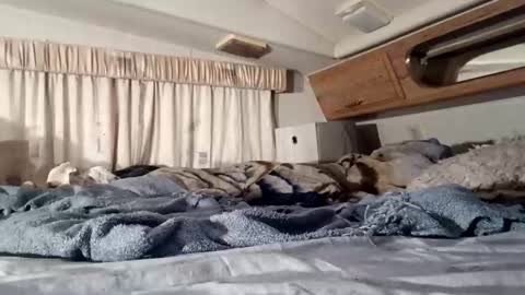 Snapshot of hotamymike_sexy chatting on 11, 11, 2025 HotAmyMike online show from 11, 11, 2025