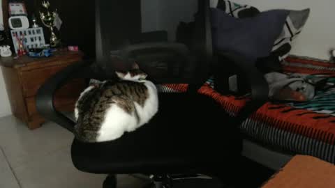 Snapshot of hotandpower10 chatting on 21, 12, 2024 Hot and PowerHOPE U MISS ME online show from 21, 12, 2024