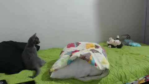 Snapshot of hotandpower10 chatting on 14, 1, 2025 Hot and PowerHOPE U MISS ME online show from 14, 1, 2025