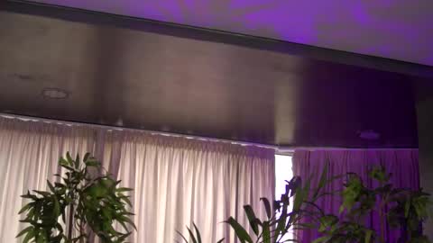 Anais online show from 27, 10, 2025