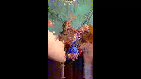 Hot spunkers and cream online show from 19, 5, 2026