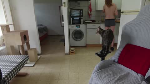 Snapshot of hotinhell666 chatting on 24, 12, 2024 Hikikomori Alex online show from 24, 12, 2024