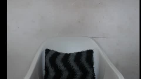 hotjessie0 online show from 3, 10, 2025