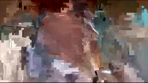 Lyn online show from 8, 12, 2024