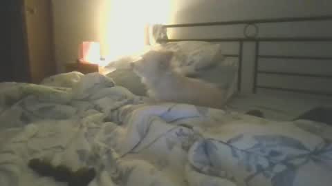 Hottnready4u online show from 5, 1, 2025