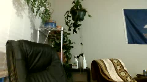 Hottop 1981 online show from 6, 7, 2026