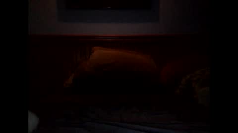 Hottysexy78 online show from 30, 11, 2025