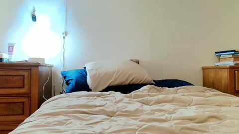 Lili Vixen online show from 4, 2, 2025