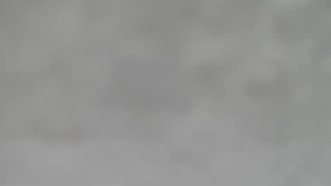 Slutty little female cat online show from 31, 1, 2025