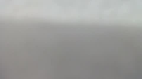 Slutty little female cat online show from 13, 9, 2025