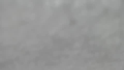 Slutty little female cat online show from 12, 10, 2025