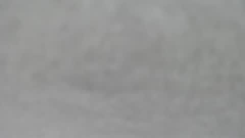 Slutty little female cat online show from 19, 10, 2025