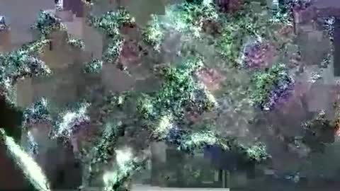 Snapshot of hp58649blabla chatting on 17, 9, 2025 hp58649blabla online show from 17, 9, 2025