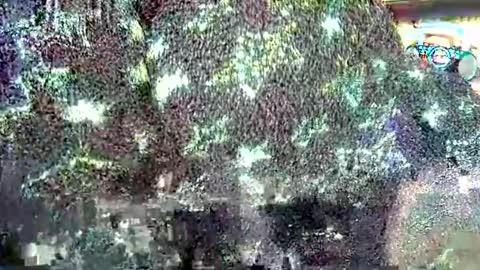 Snapshot of hp58649blabla chatting on 24, 9, 2025 hp58649blabla online show from 24, 9, 2025