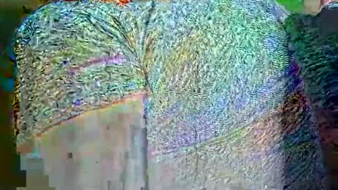 Snapshot of hp58649blabla chatting on 25, 9, 2025 hp58649blabla online show from 25, 9, 2025