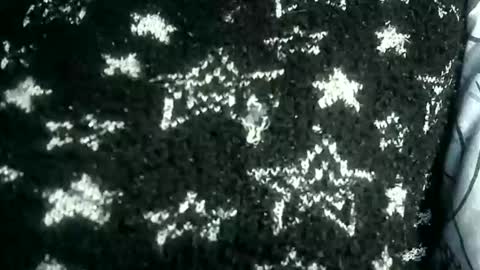 Snapshot of hp58649blabla chatting on 11, 10, 2025 hp58649blabla online show from 11, 10, 2025