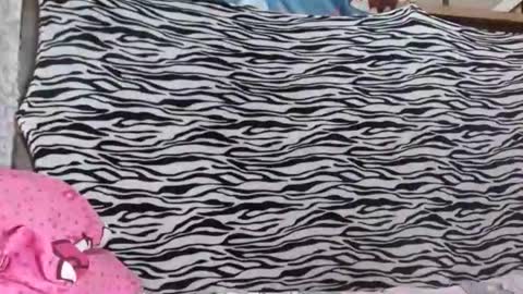 Snapshot of hugecockforyouxx chatting on 19, 10, 2025 bella passwordshow 500tokens no time limit online show from 19, 10, 2025