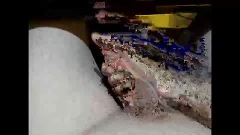 hung_mac0 online show from 17, 2, 2026