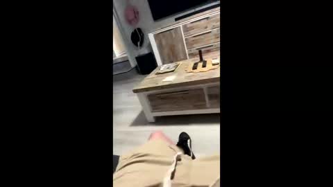 hungminer69 online show from 17, 5, 2026