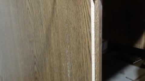 hungsofine online show from 5, 1, 2025