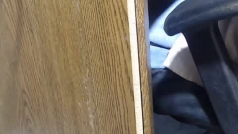 hungsofine online show from 13, 1, 2025