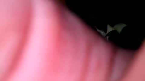 hunk1987_ online show from 27, 4, 2026