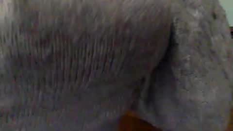 Snapshot of hunyybunz chatting on 1, 3, 2025 Goddess Hunyy online show from 1, 3, 2025