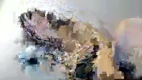 cant get you out of my head online show from 12, 2, 2025