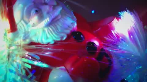 iamhereandnow online show from 20, 12, 2025