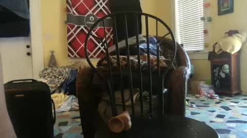 idksohorny online show from 20, 12, 2024