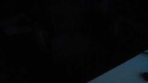 idksohorny online show from 24, 1, 2025