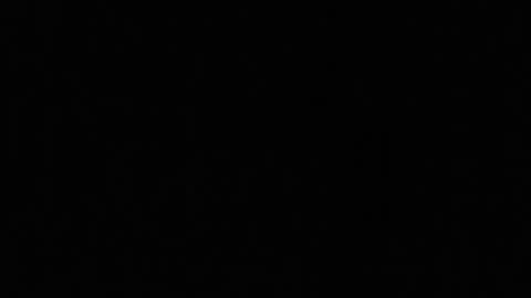 idksohorny online show from 15, 2, 2025