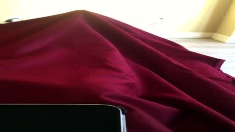 Ninochen online show from 15, 6, 2026