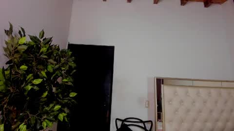 Snapshot of im_felixhunter chatting on 1, 5, 2026 FELIX online show from 1, 5, 2026