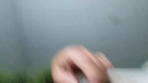 im_free_0121 online show from 2, 11, 2025