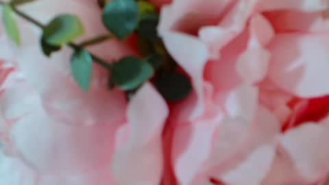 Carrie online show from 25, 1, 2025