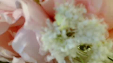 Carrie online show from 3, 3, 2025