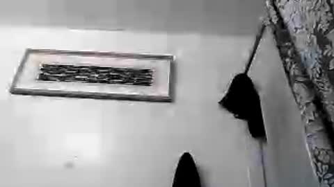 imhandy2 online show from 8, 8, 2026