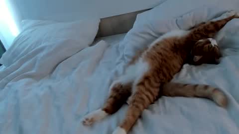 my name Imo  Fansly  online show from 20, 2, 2025