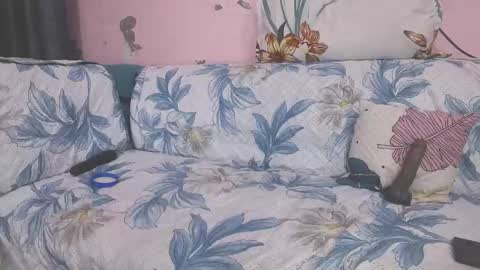 Parul online show from 11, 1, 2026