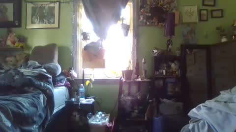 indigo_scorpio online show from 21, 2, 2025