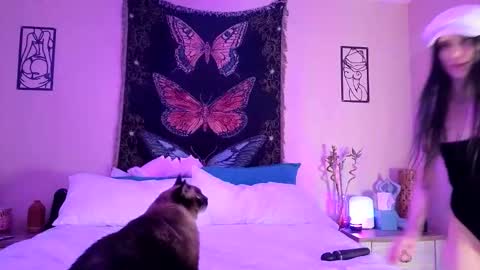 Indigo Bay online show from 3, 2, 2026