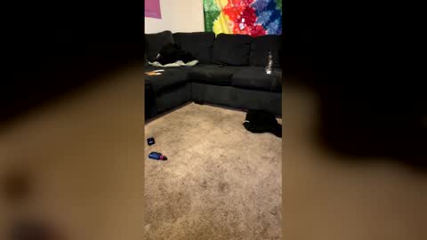 InfamousLibby  Linktree  online show from 8, 2, 2026