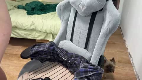 Jenny  online show from 3, 12, 2024