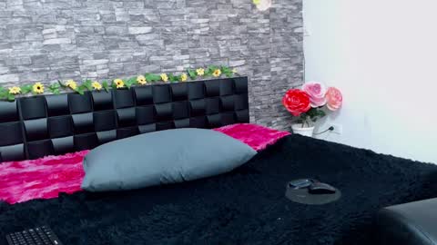 Snapshot of iris_joi chatting on 28, 1, 2025 Iirs online show from 28, 1, 2025