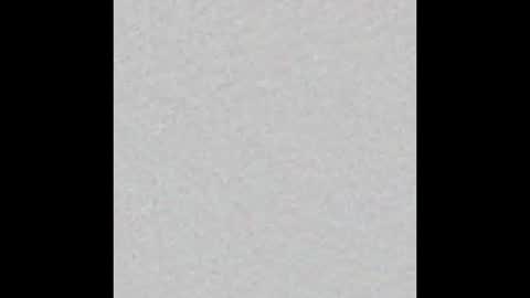 Dani online show from 9, 2, 2026