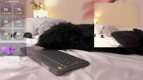 Snapshot of isa_jonness_ chatting on 19, 2, 2025 oIssaJonneso online show from 19, 2, 2025