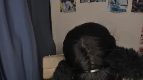 isa 3 online show from 3, 3, 2025