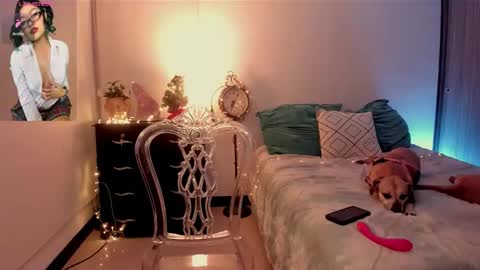 Isa online show from 29, 11, 2025